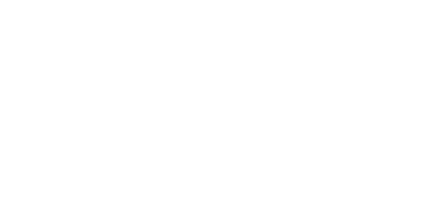 Flow Experience